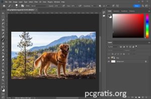 Adobe Photoshop