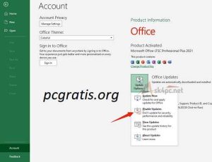 Office 2021 Crackeado 