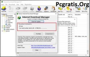 Download Internet Download Manager Crackeado 2024