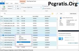 Wise Duplicate Finder Pro Crackeado