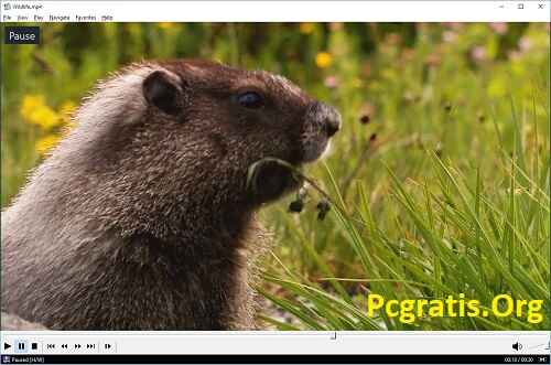 Como baixar o Media Player Classic?