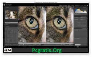 Adobe Lightroom Crackeado 